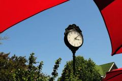 Cottages on Roanoke Island photo